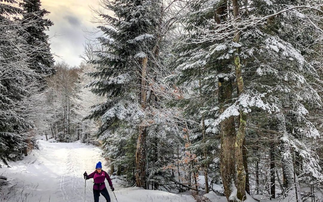 Essential Gear for Your Nordic Ski Outing