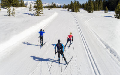 We Need Cross Country Skiing