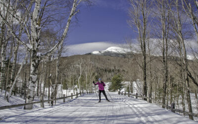 Favorite NH Cross Country Ski Areas